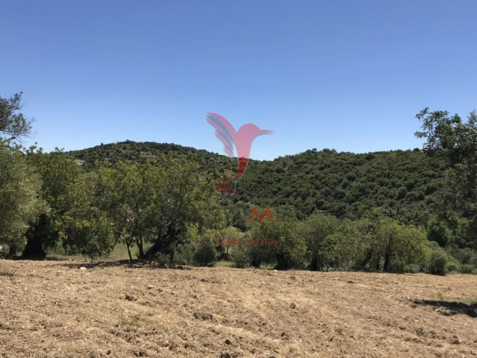 Terreno para Venda em Santa Catarina da Fonte do Bispo Foto 17