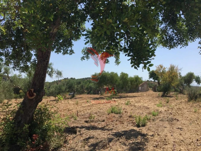 Terreno para Venda em Santa Catarina da Fonte do Bispo Foto 26
