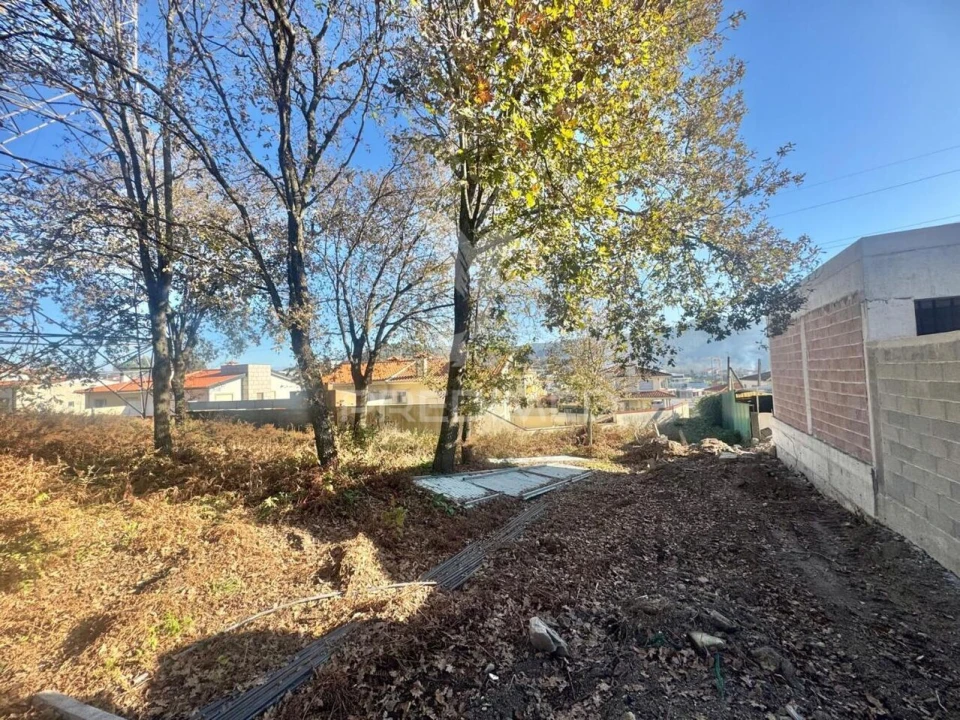 Terreno para Venda em Prazins (Santa Eufemia) Foto 2