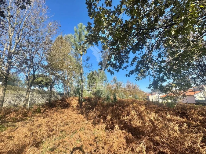 Terreno para Venda em Prazins (Santa Eufemia) Foto 4