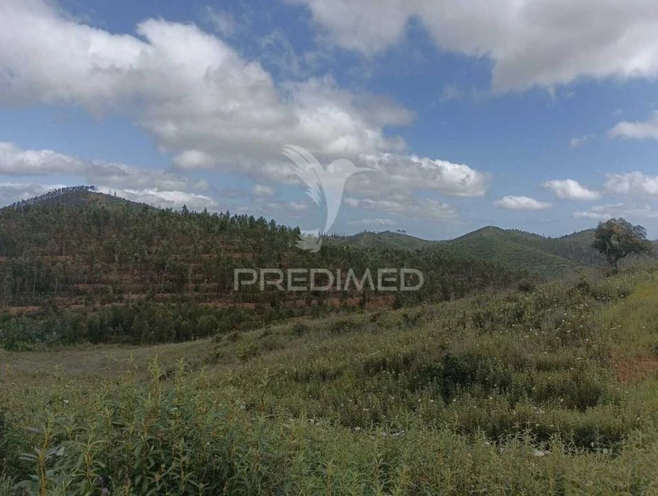 Terreno para Venda em Marmelete Foto 1