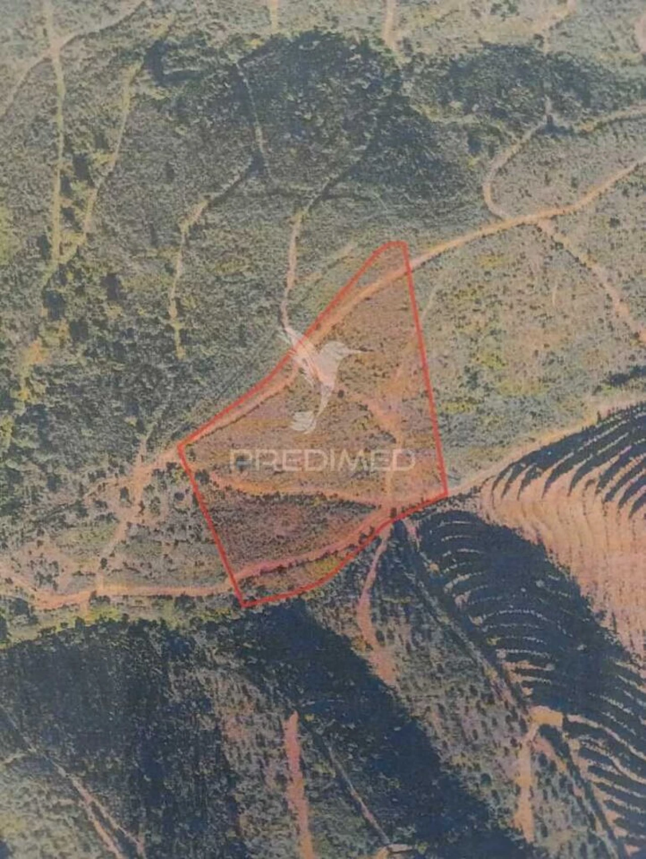 Terreno para Venda em Marmelete Foto 2