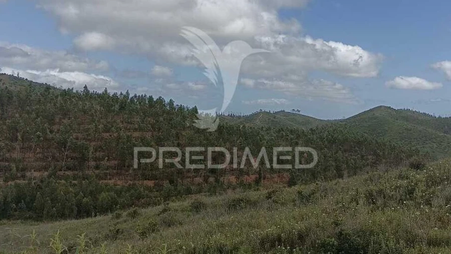 Terreno para Venda em Marmelete