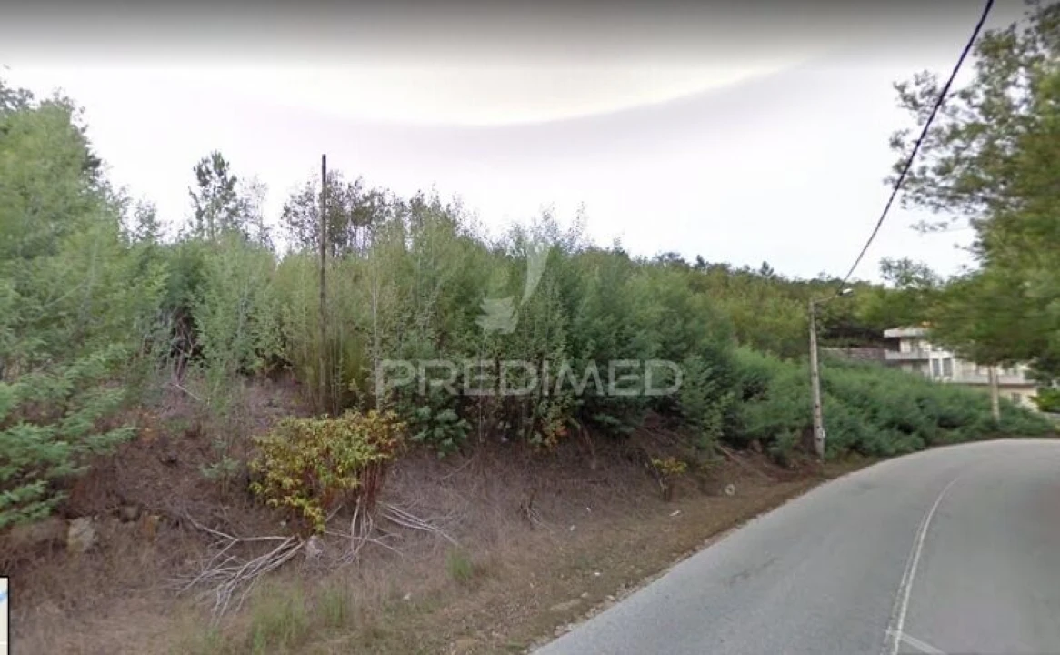 Terreno para Venda em Canas de Senhorim Foto 1