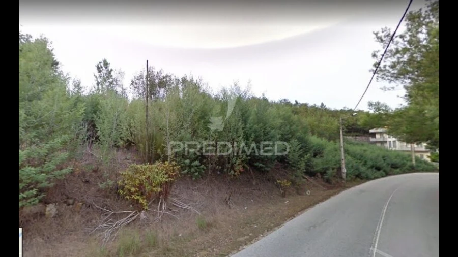 Terreno para Venda em Canas de Senhorim