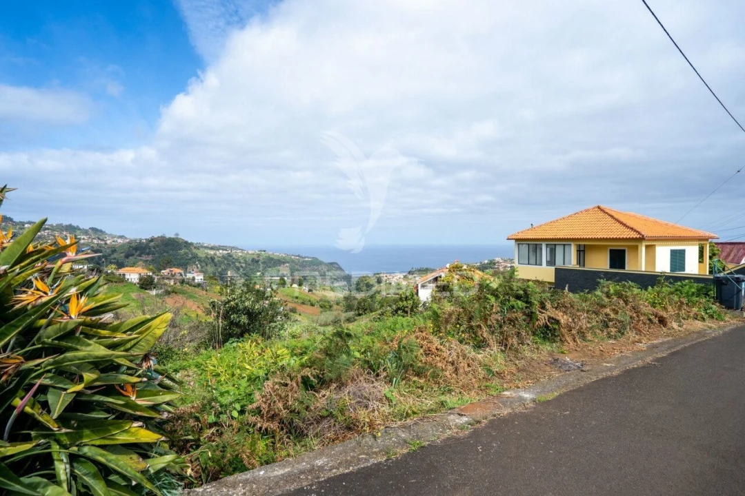 Terreno para Venda em Santana Foto 21