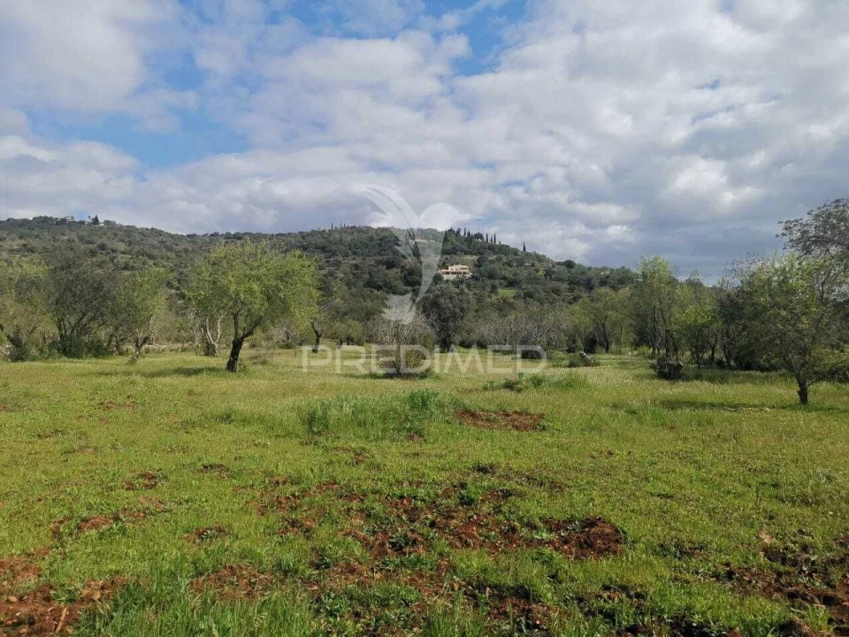 Terreno para Venda em Loule (São Sebastião) Foto 12