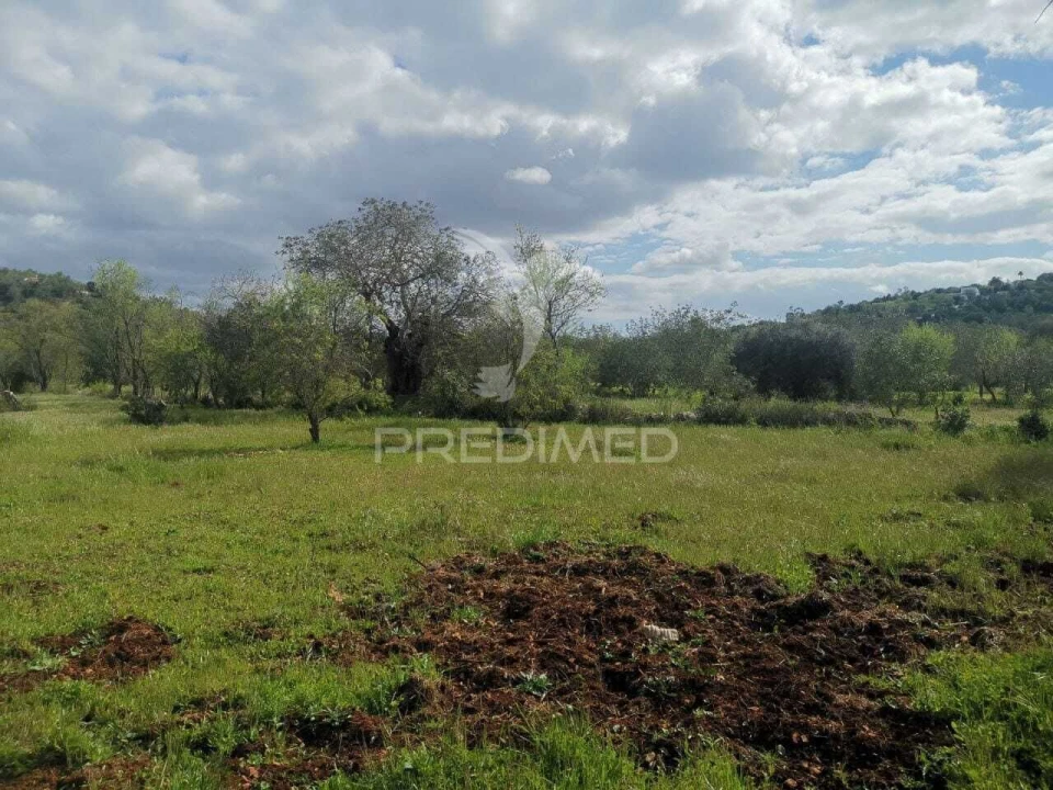 Terreno para Venda em Loule (São Sebastião) Foto 8