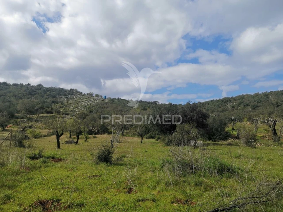 Terreno para Venda em Loule (São Sebastião) Foto 4