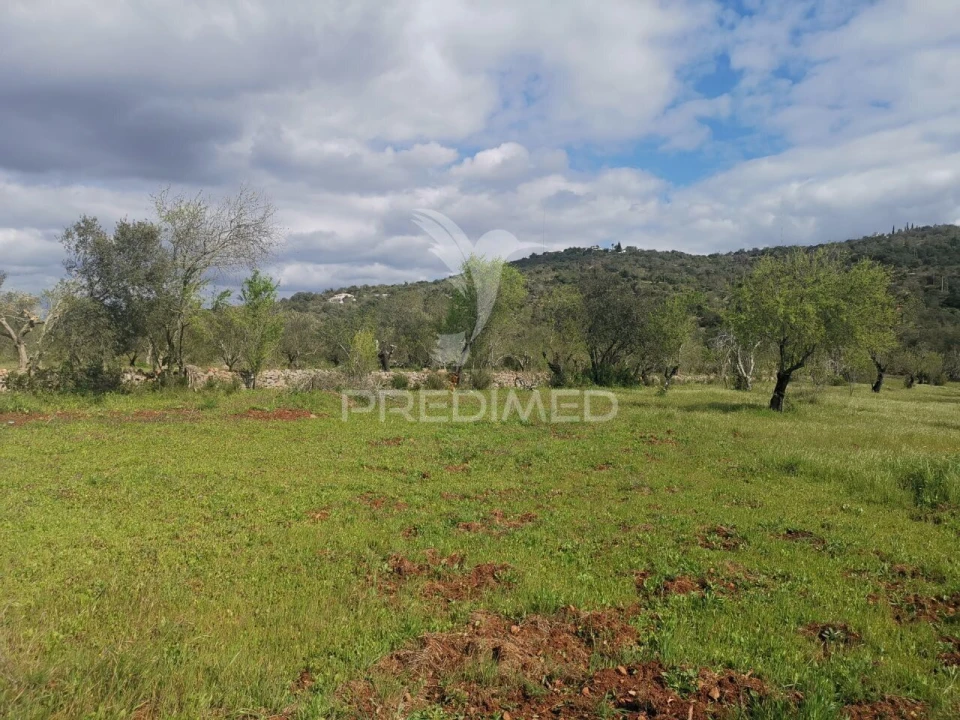 Terreno para Venda em Loule (São Sebastião) Foto 3