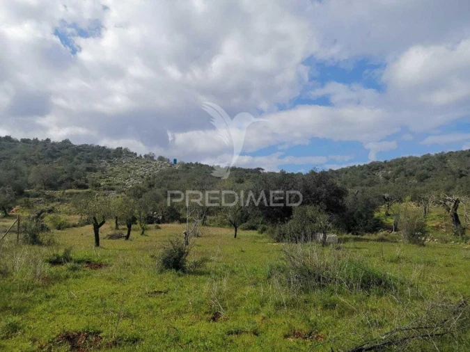 Terreno para Venda em Loule (São Sebastião) Foto 9