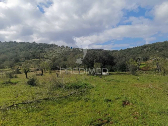 Terreno para Venda em Loule (São Sebastião) Foto 10