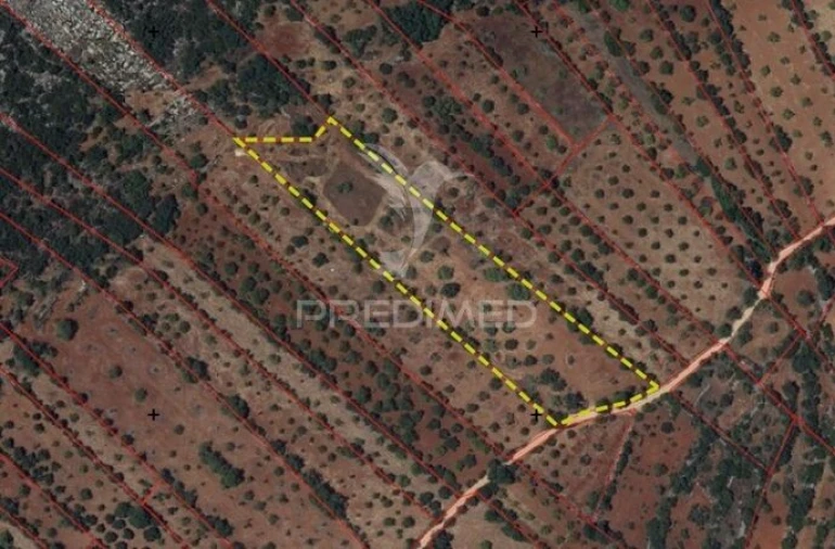 Terreno para Venda em Loule (São Sebastião) Foto 2