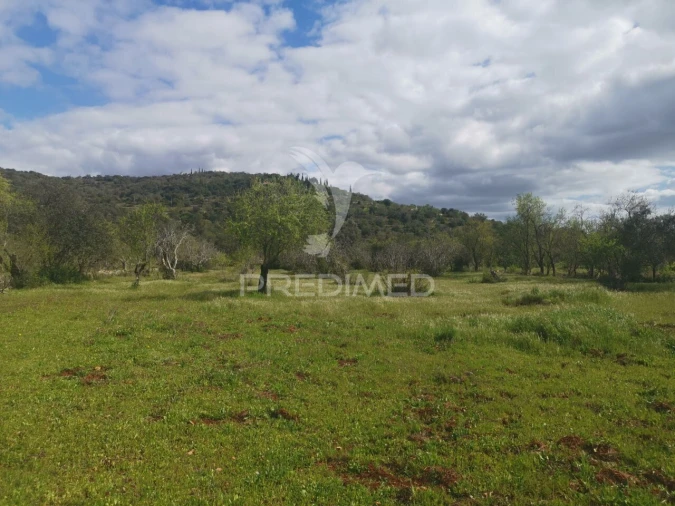 Terreno para Venda em Loule (São Sebastião) Foto 7
