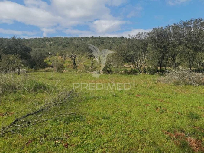 Terreno para Venda em Loule (São Sebastião) Foto 13