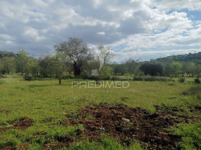 Terreno para Venda em Loule (São Sebastião) Foto 8