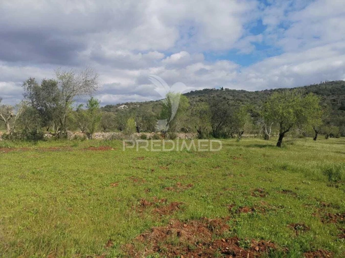 Terreno para Venda em Loule (São Sebastião) Foto 11