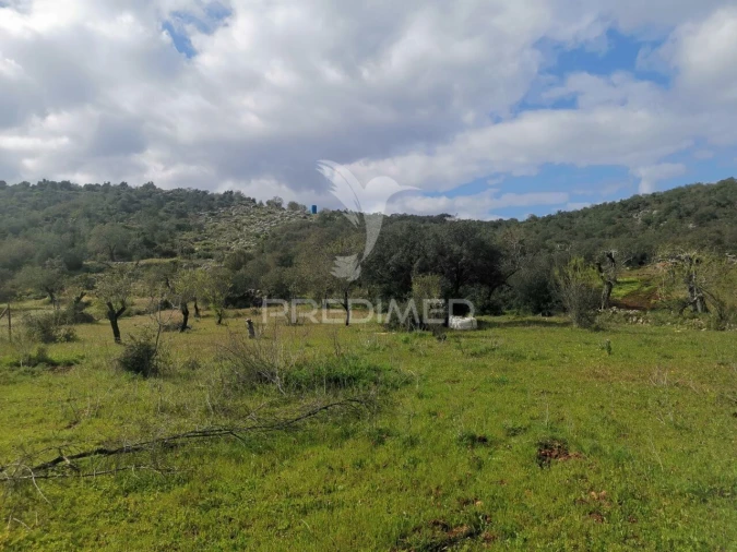 Terreno para Venda em Loule (São Sebastião) Foto 6