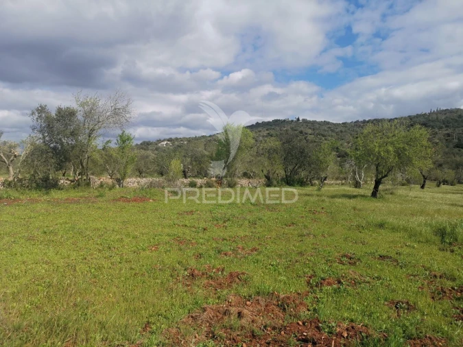 Terreno para Venda em Loule (São Sebastião) Foto 3