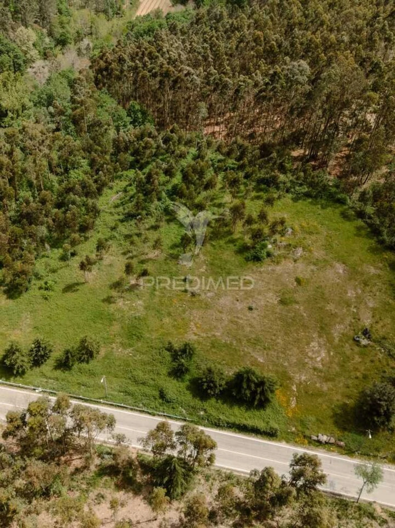 Terreno para Venda em Pinheiro Foto 10