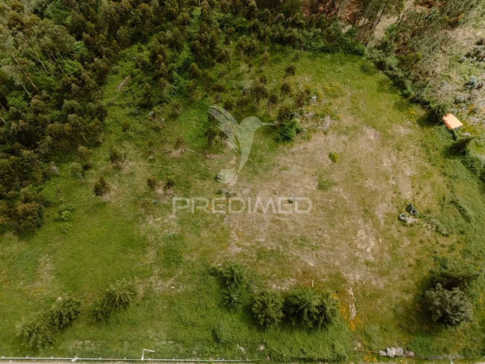 Terreno para Venda em Pinheiro Foto 6