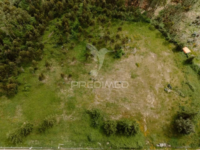 Terreno para Venda em Pinheiro Foto 6