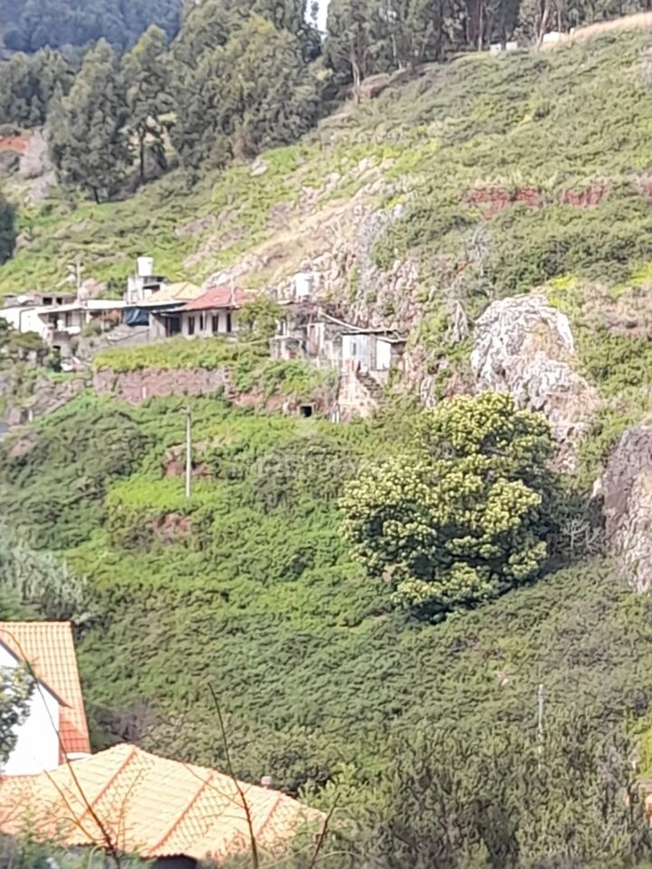 Terreno para Venda em Gaula Foto 5