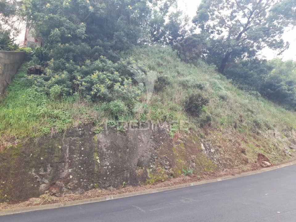 Terreno para Venda em Gaula Foto 3
