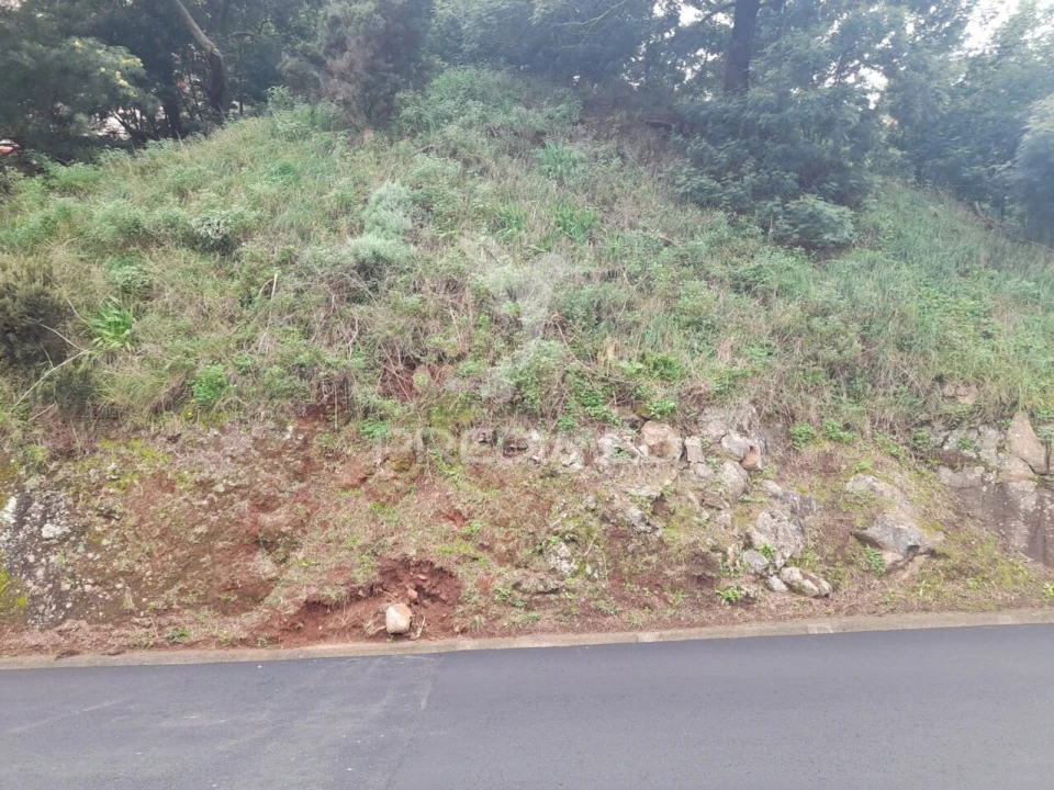 Terreno para Venda em Gaula Foto 4