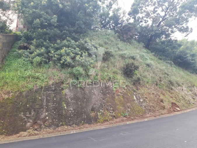 Terreno para Venda em Gaula Foto 3