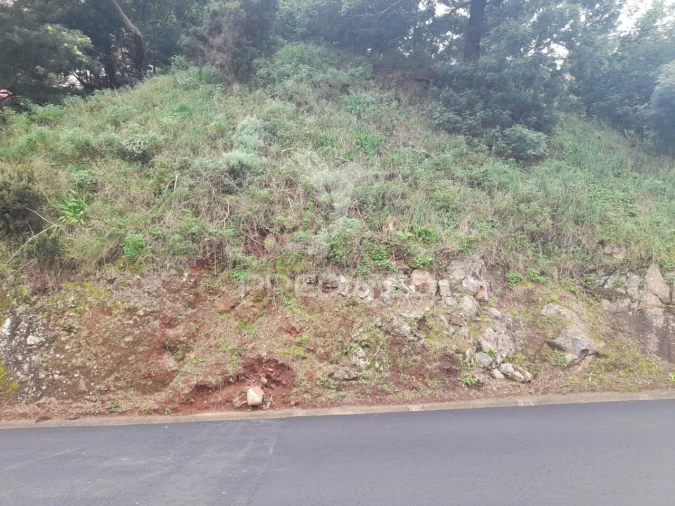 Terreno para Venda em Gaula Foto 4