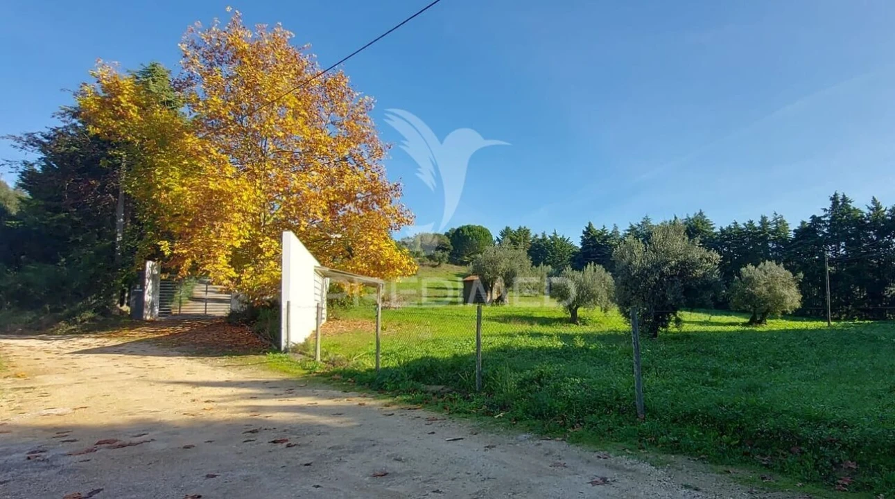 Moradia T4 para Venda em Moçarria Foto 28