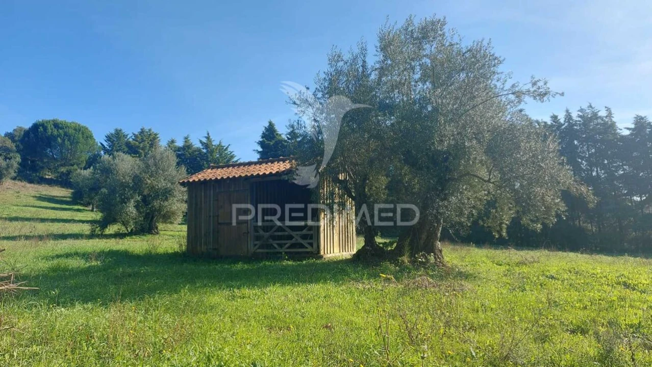 Moradia T4 para Venda em Moçarria Foto 27