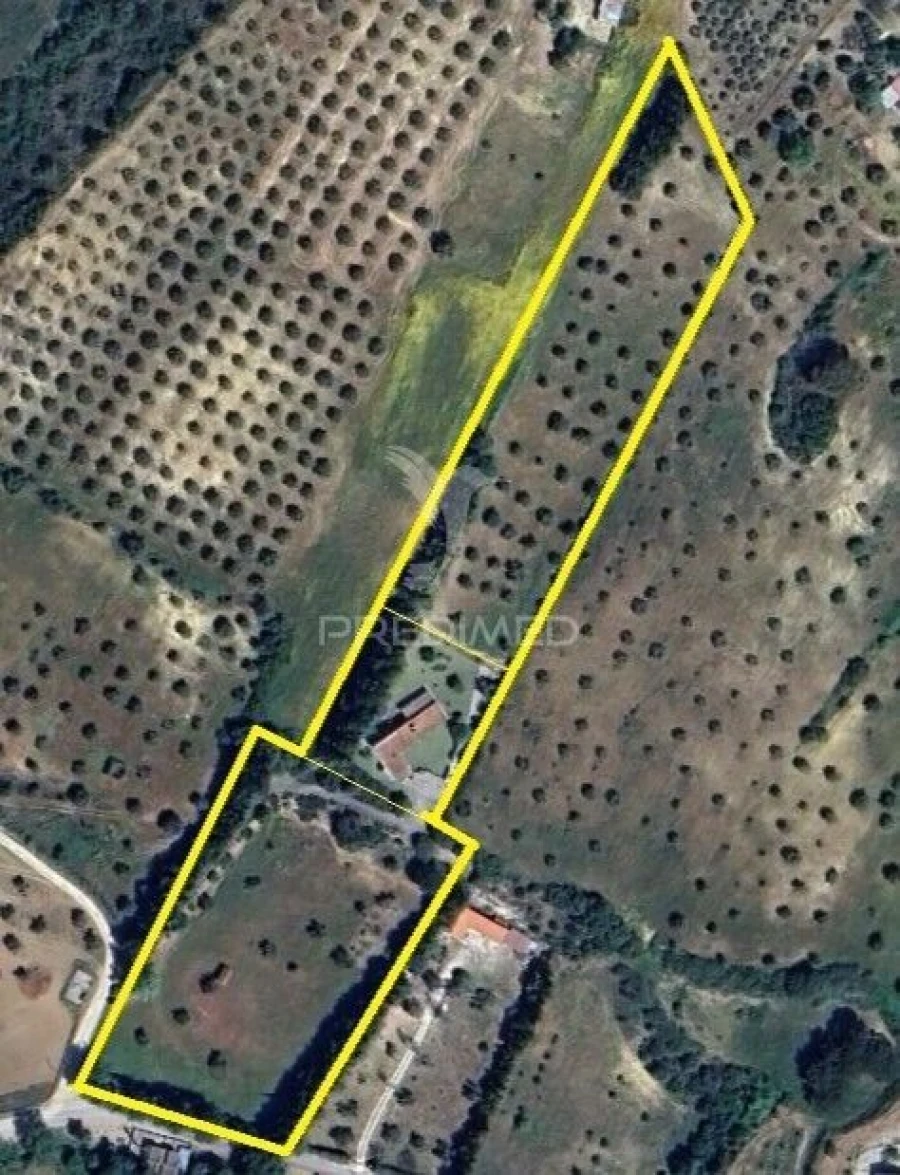 Moradia T4 para Venda em Moçarria Foto 29