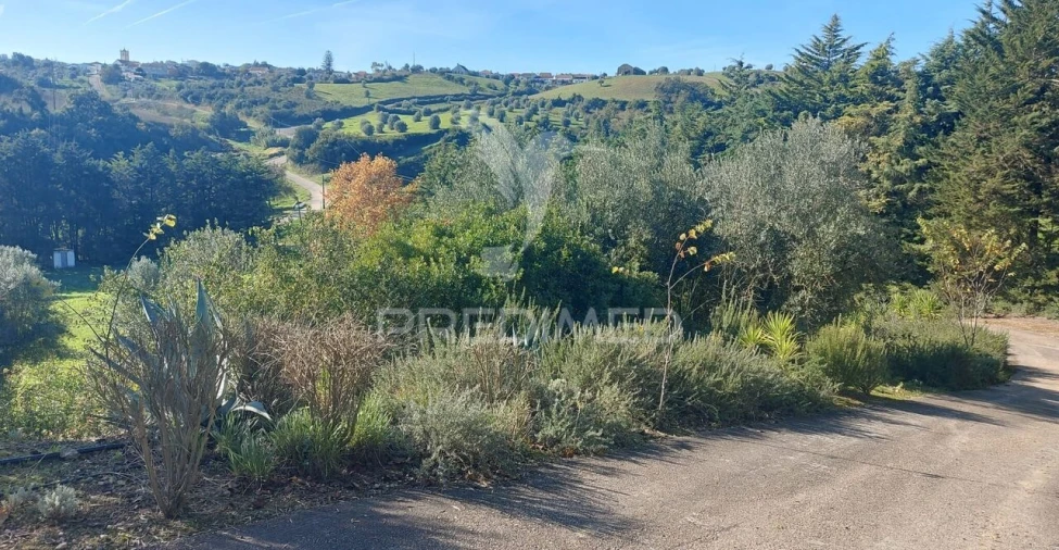 Moradia T4 para Venda em Moçarria Foto 25