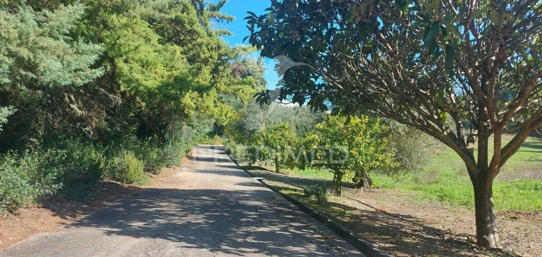 Moradia T4 para Venda em Moçarria Foto 26