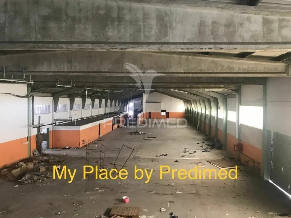 Armazém para Venda em Milheiros Foto 2