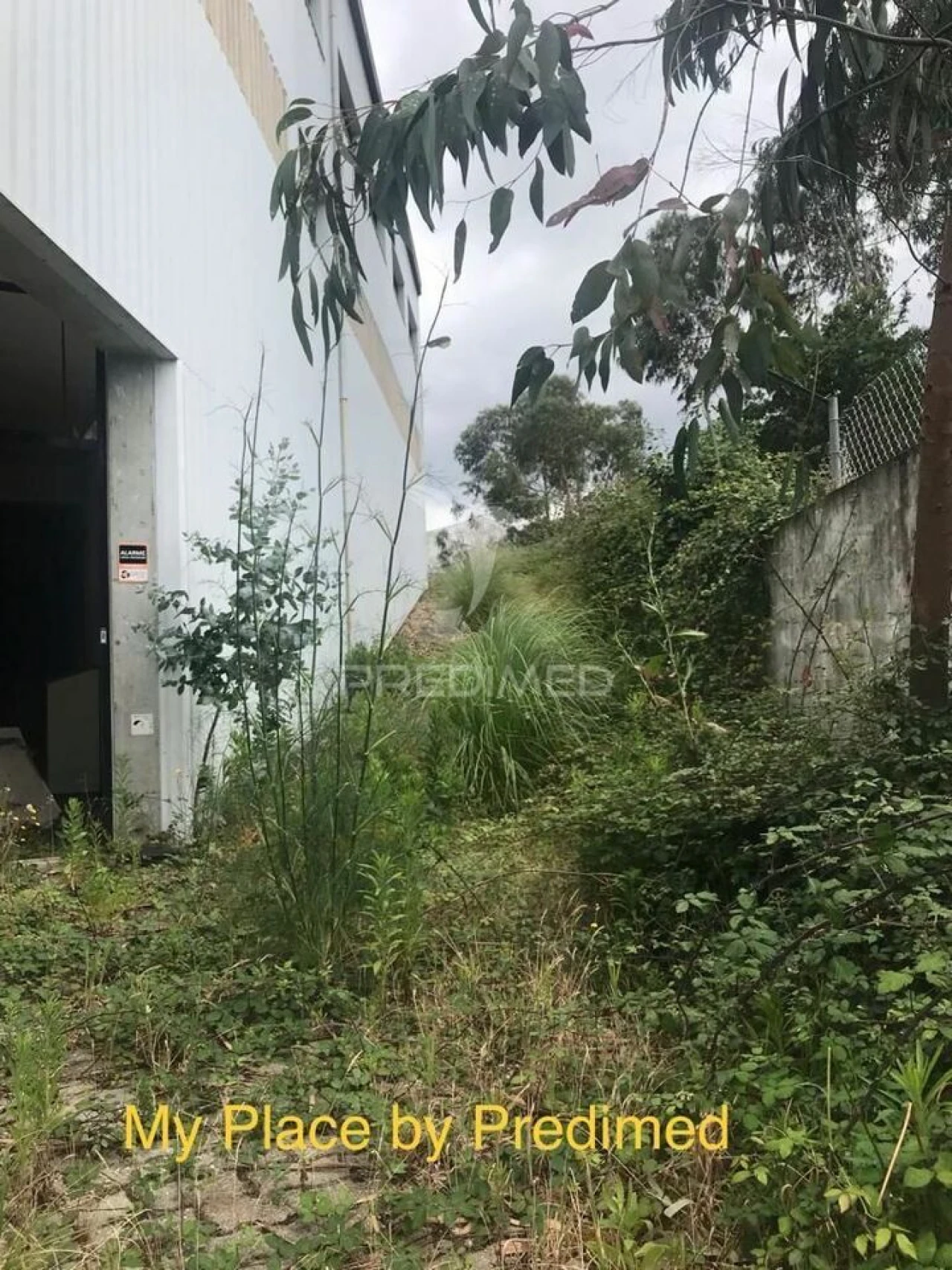 Armazém para Venda em Milheiros Foto 13