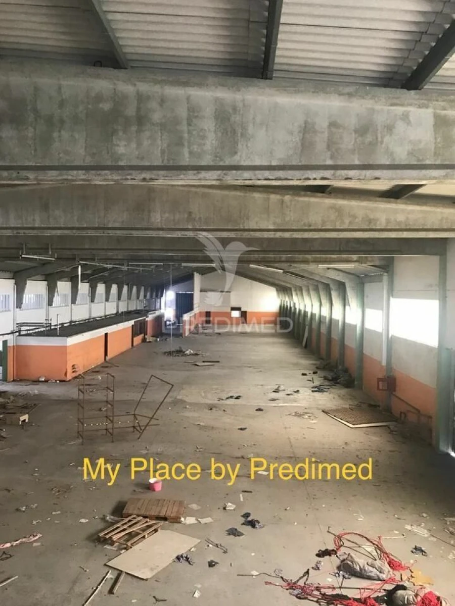 Armazém para Venda em Milheiros Foto 17