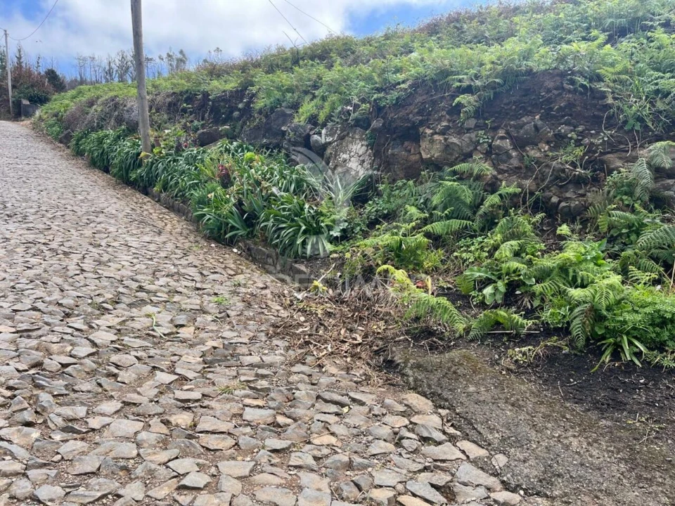 Terreno para Venda em Ponta do Pargo Foto 4