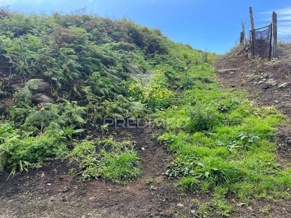 Terreno para Venda em Ponta do Pargo Foto 8