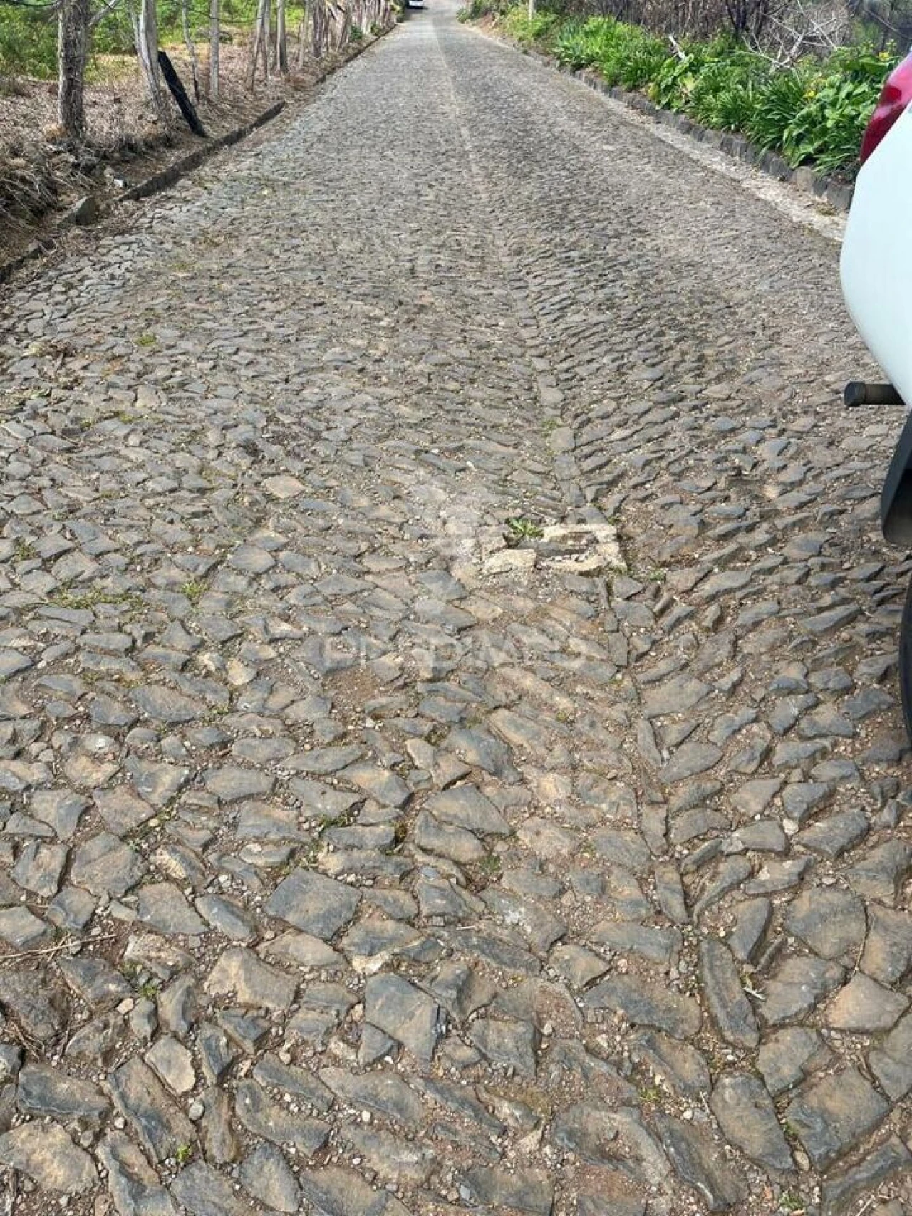 Terreno para Venda em Ponta do Pargo Foto 6