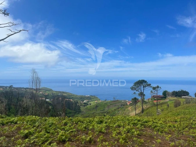 Terreno para Venda em Ponta do Pargo Foto 7