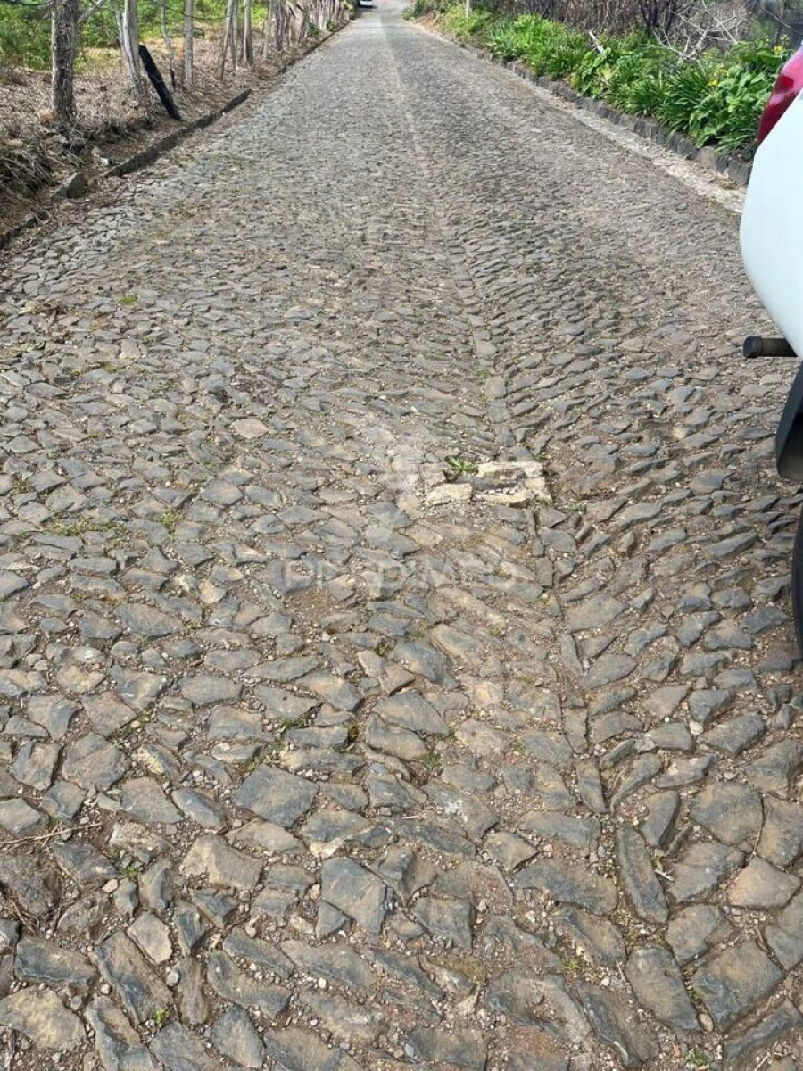 Terreno para Venda em Ponta do Pargo Foto 6