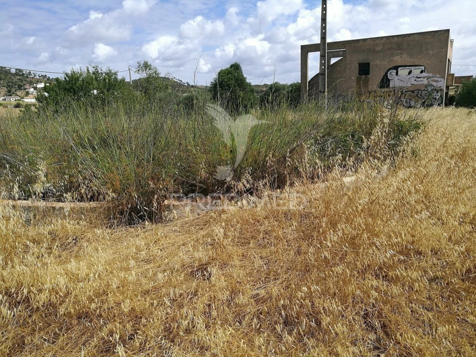 Terreno para Venda em Bensafrim e Barão de São João Foto 10