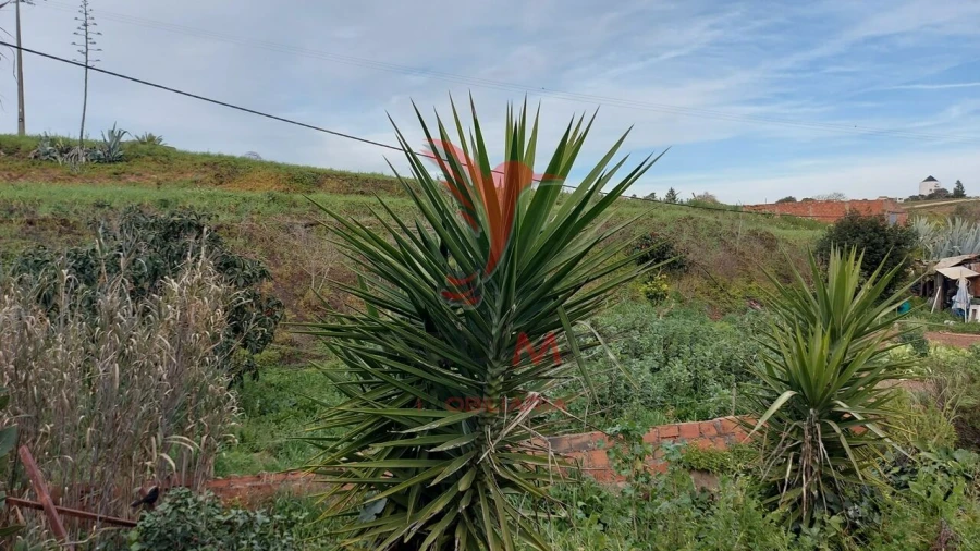 Armazém para Venda em Bensafrim e Barão de São João Foto 7