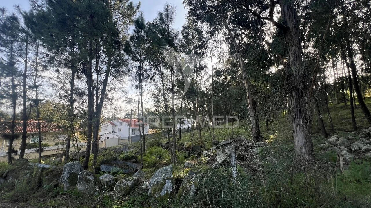 Terreno para Venda em Turiz Foto 13