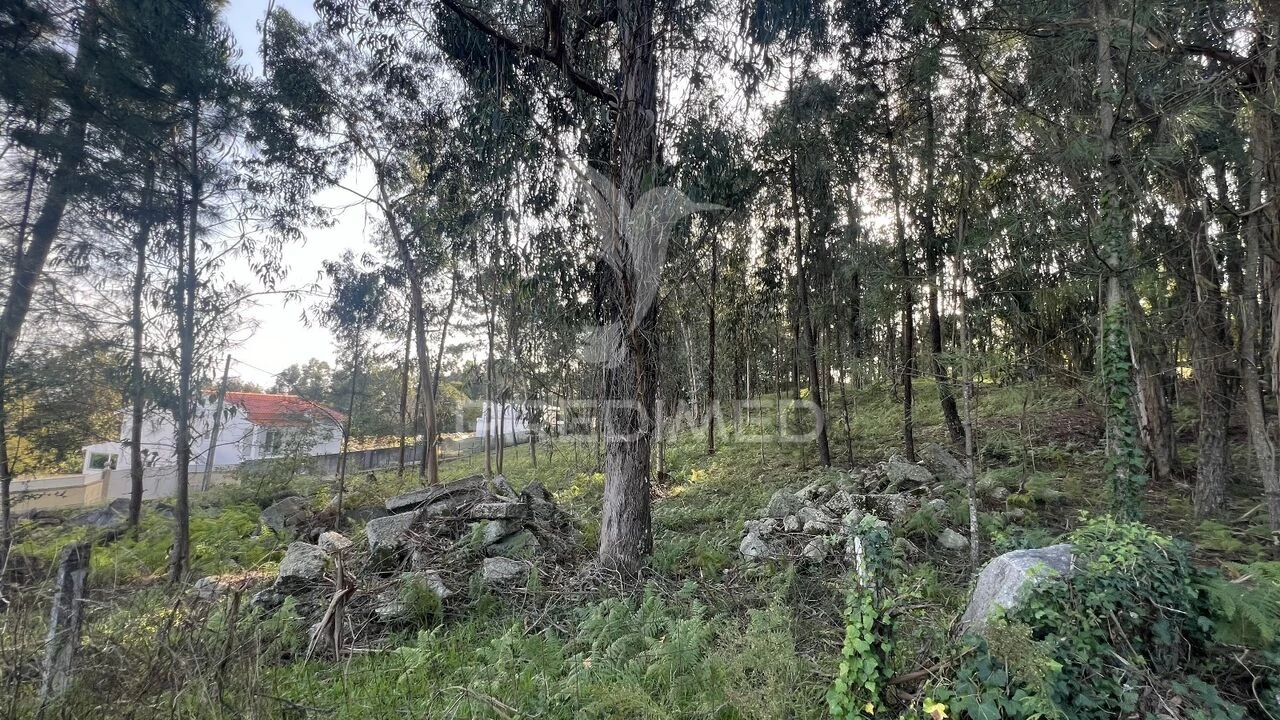 Terreno para Venda em Turiz Foto 12