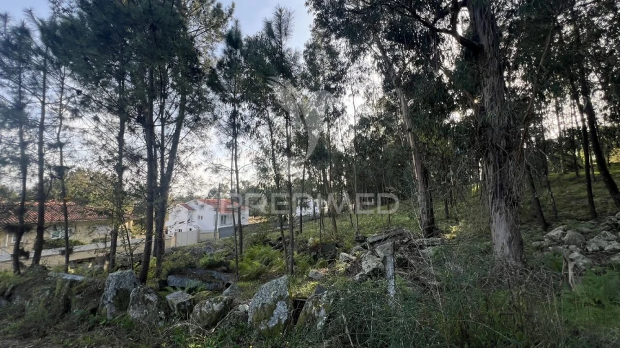 Terreno para Venda em Turiz Foto 13