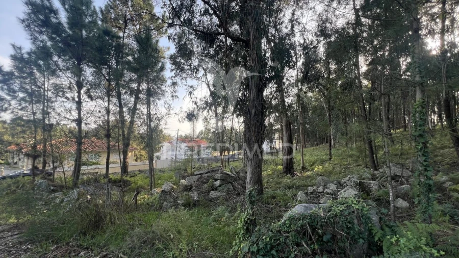 Terreno para Venda em Turiz Foto 14